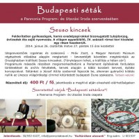 /album/pannonia-programiroda/seuso-kincsek-es-az-orszaghaz-jpg/